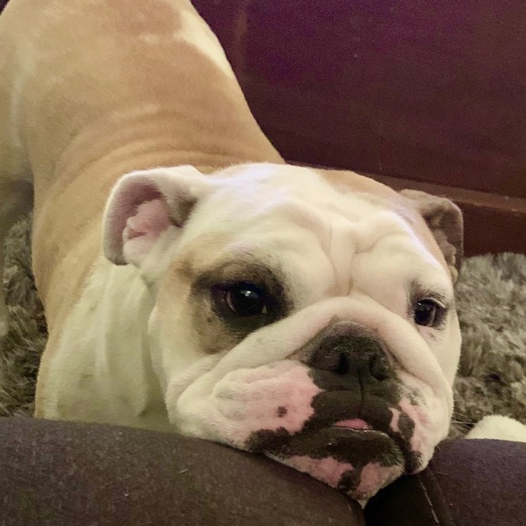 Welcome to my closet!!! Thanks for stopping by! - Picture 10 of 14